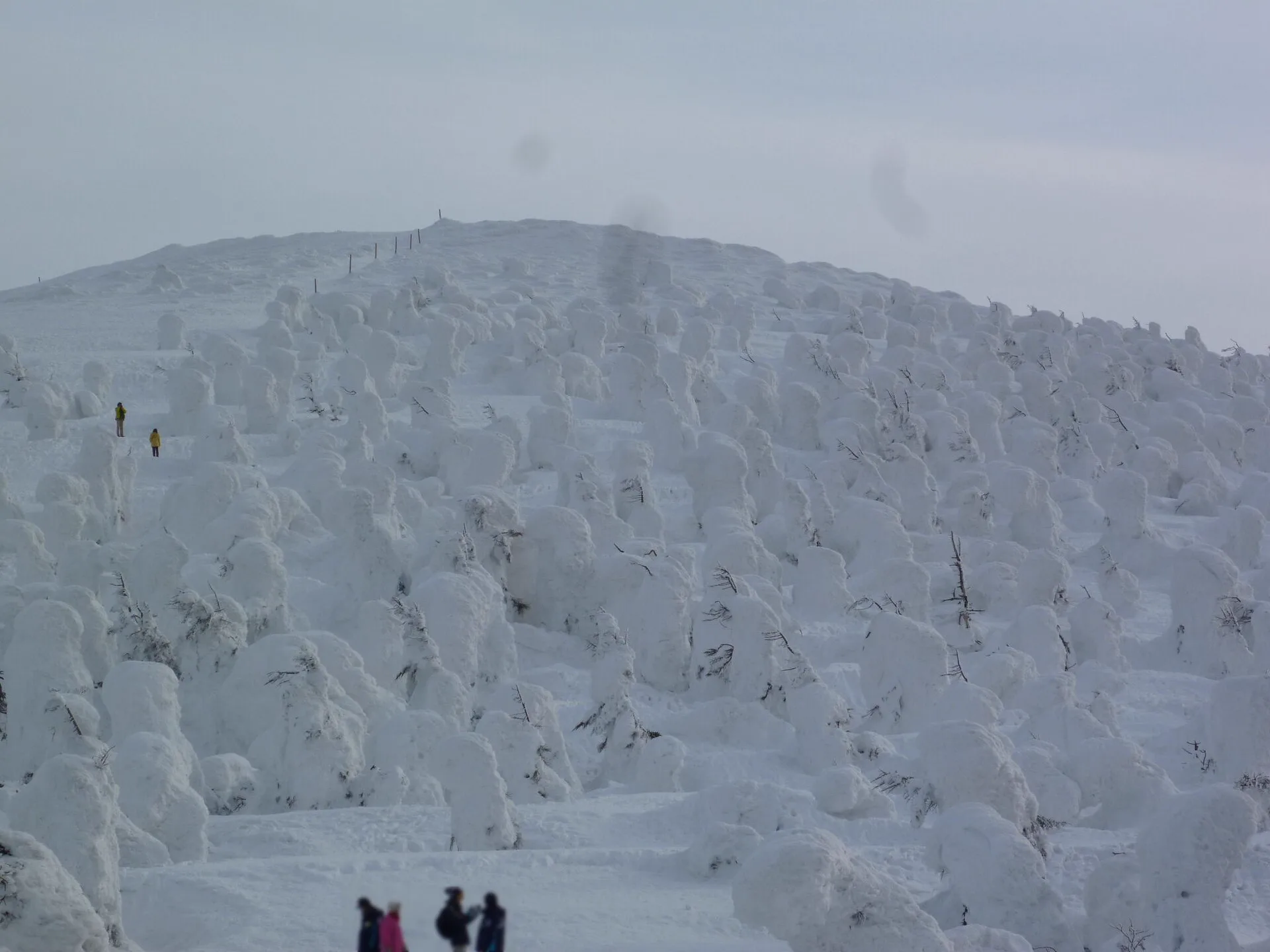 藏王溫泉滑雪場地藏山頂附近的冬季樹冰群