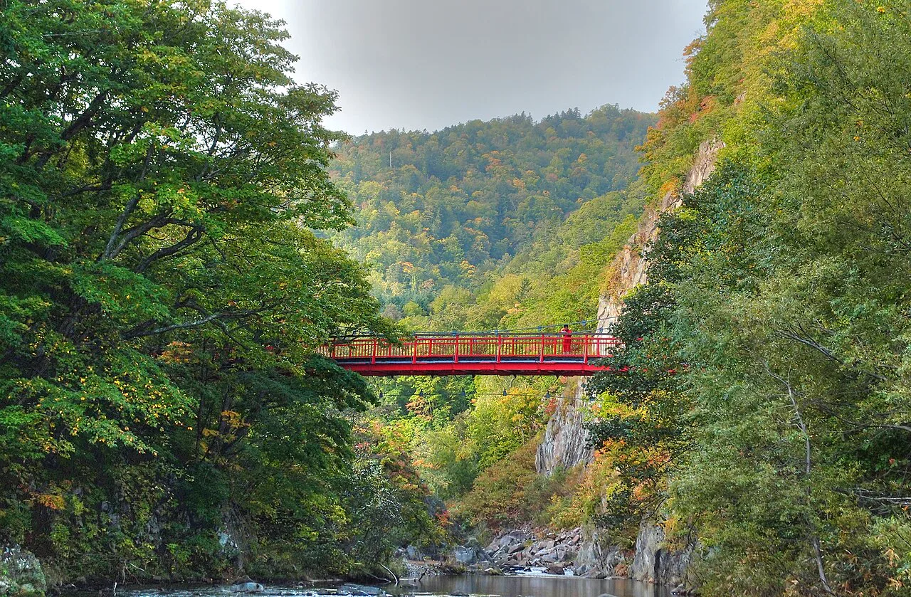 定山溪二見吊橋橫跨山谷與豐平川,周圍是森林與步行景觀