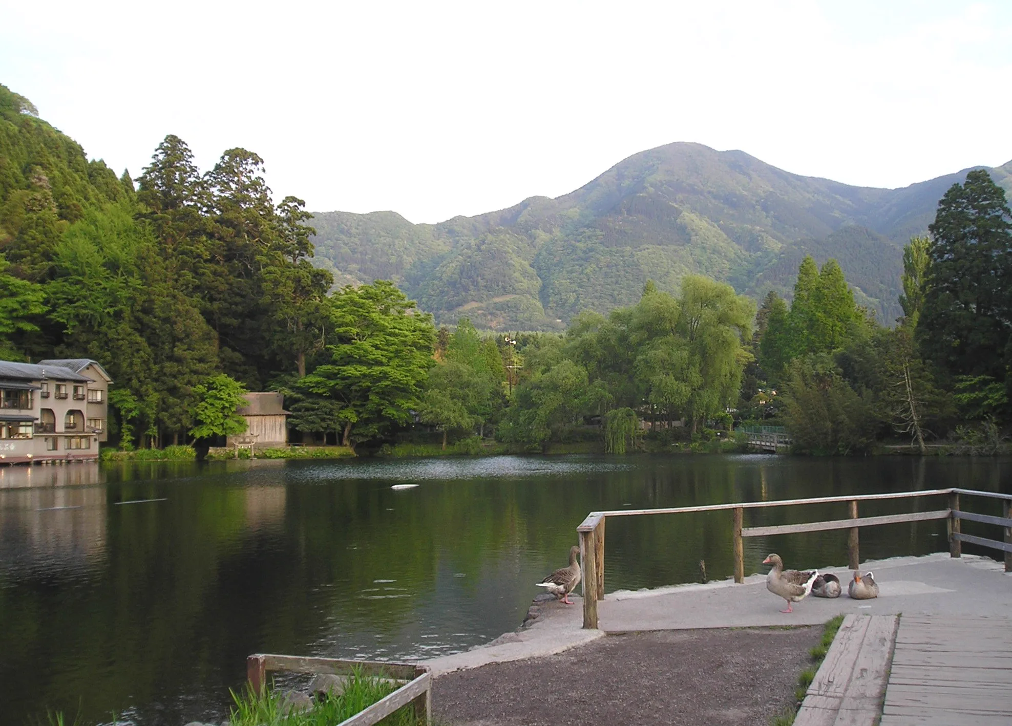 由布院金鱗湖景色