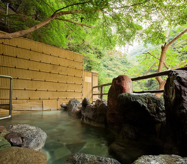 攝津峽 花之里溫泉 山水館（摂津峽 花の里溫泉 山水館）第二張旅館實景