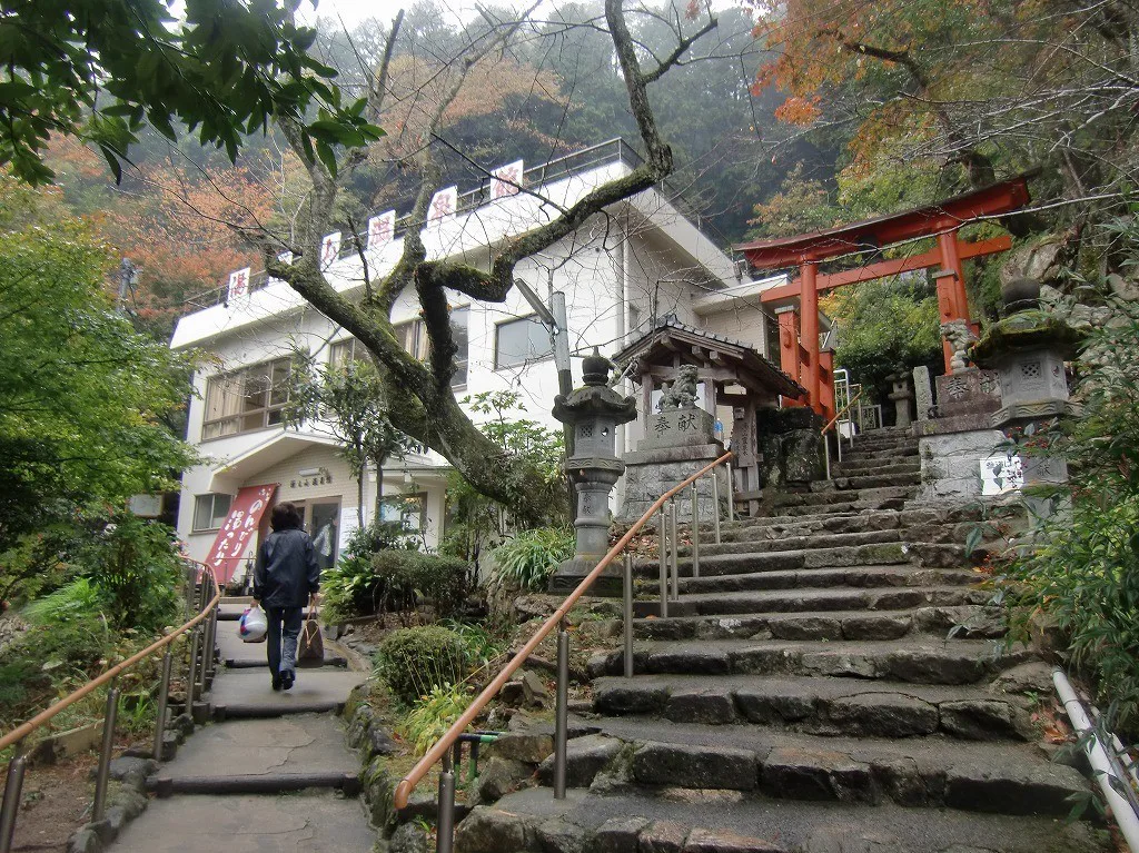 廣島冷礦泉/低溫泉怎麼選?