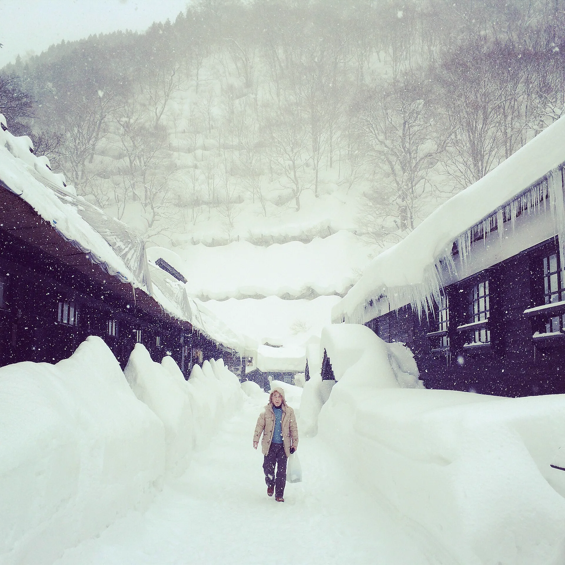 東北雪景溫泉怎麼選？乳頭、藏王、銀山、八甲田冬季交通與泡湯比較