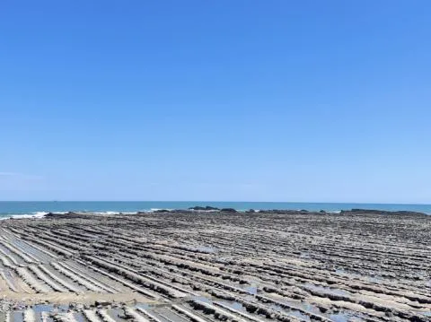 【官方】酒店青島(サンクマール)