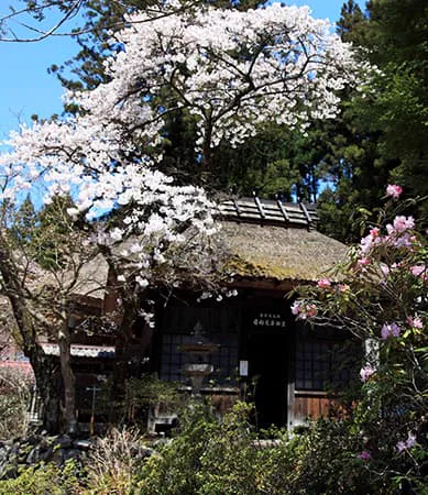積善館(について) | 四萬溫泉 積善館(せきぜんかん) 群馬之溫泉旅館