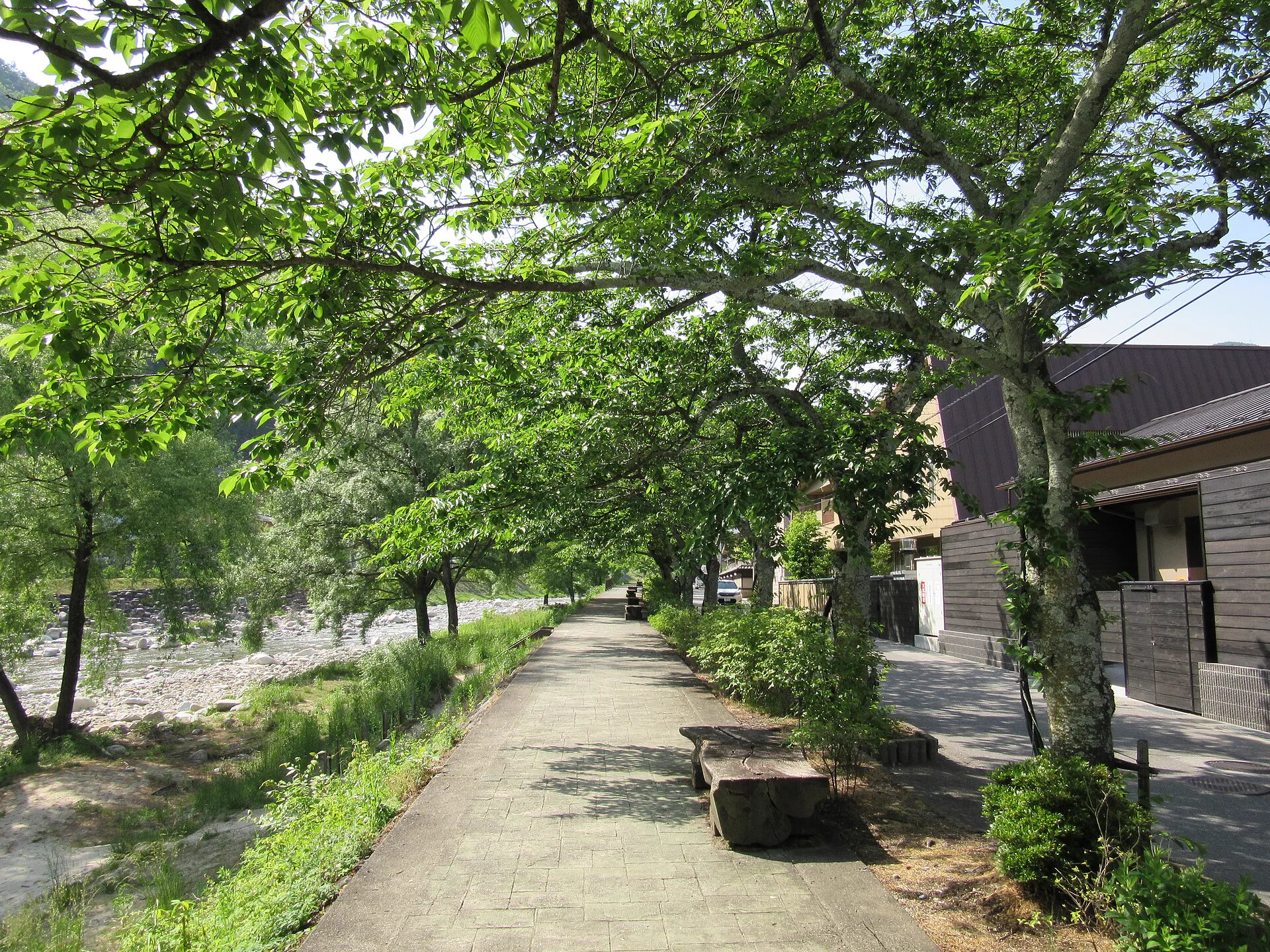 晝神溫泉阿智川河畔景觀