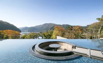 Mount View Hakone 白濁硫黃泉露天浴池