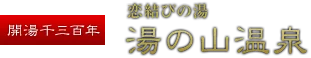 湯之山溫泉日歸怎麼選?Green Hotel、Hotel Yunomoto、希望莊、壽亭 2026 比較