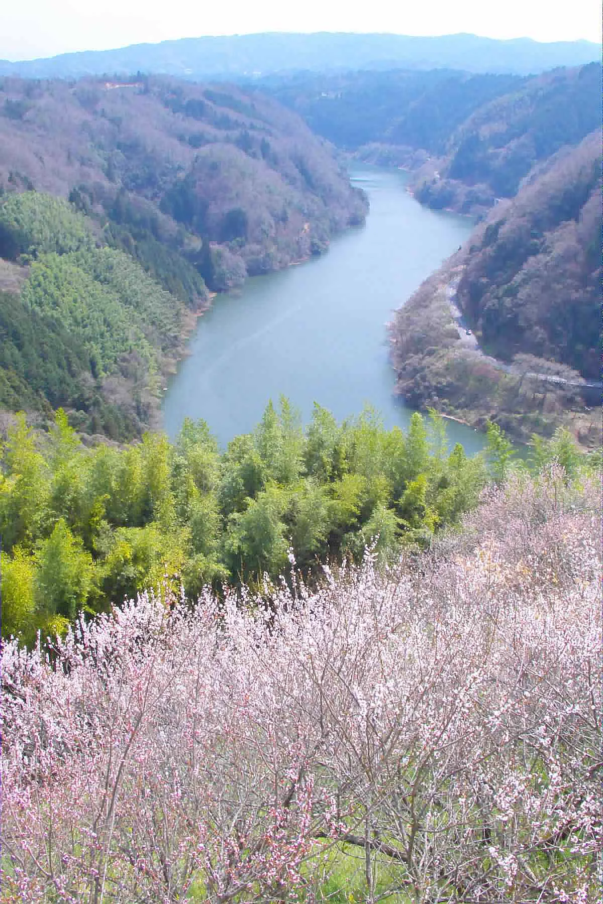 月瀨(月ヶ瀬)山間景觀
