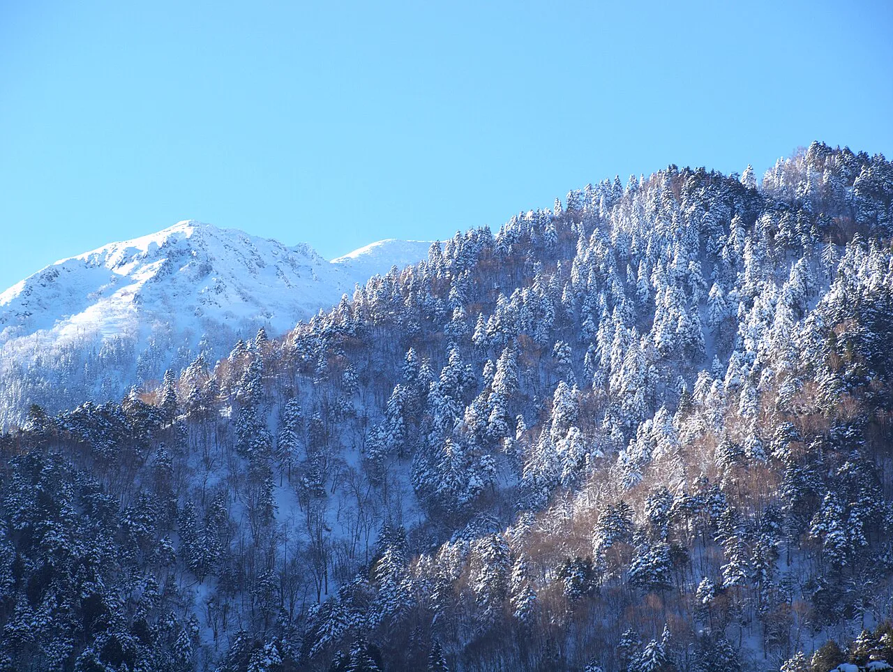 高山到奧飛驒溫泉鄉怎麼去?平湯、福地、新平湯、栃尾、新穗高巴士與轉乘一次分清