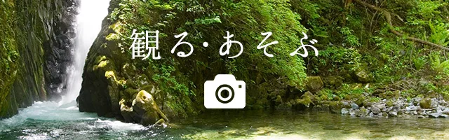 下呂溫泉合掌村