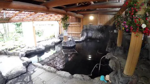 三隈川與日田溫泉河畔區,呈現日田溫泉的市區河景環境