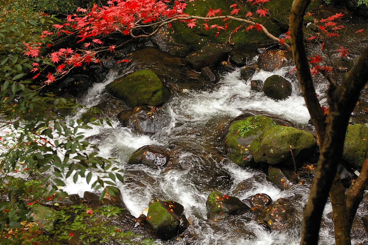湯河原溫泉代表性溫泉景觀
