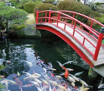 宮濱溫泉廣島・廿日市・宮濱溫泉溫泉設施(旅館かんざき)日間日本庭園與錦鯉池