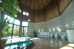 九州怕熱/溫湯(ぬる湯,水溫較一般熱湯低)溫泉怎麼選?長湯、古湯・熊之川、七里田、別府 2026 低水溫攻略