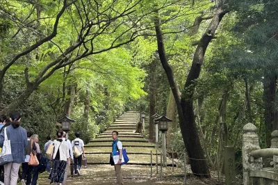 白山溫泉鄉(はくさんおんせんごう)之魅力|【官方】白山市観光・旅行情報(サイト)|(うらら)白山人
