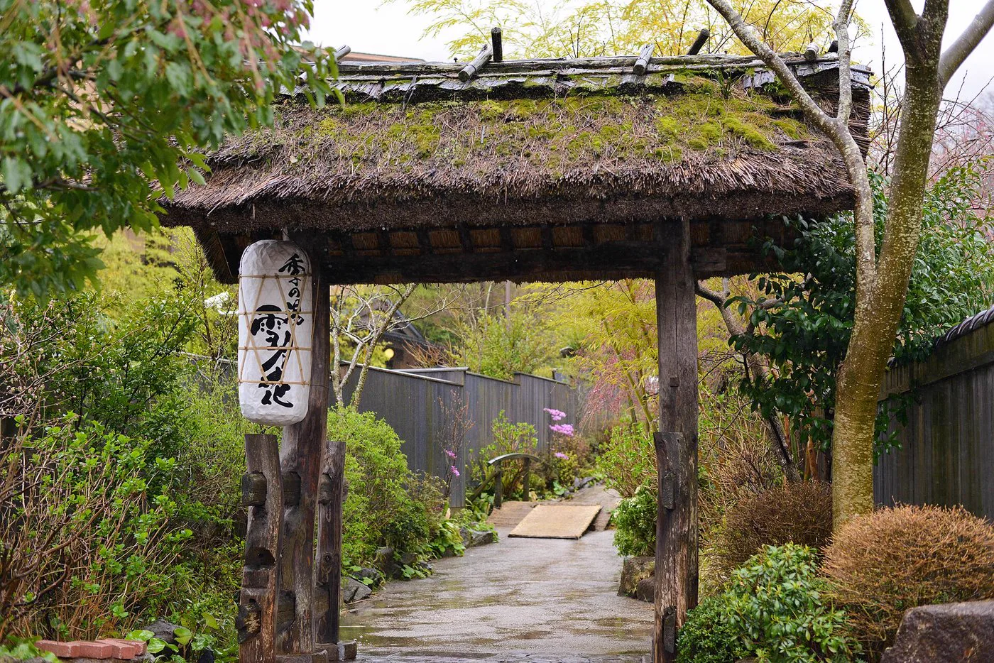 黑川溫泉（こうの）湯值得住嗎？全9室都有私人掛流湯，真正要選的是162cm站立式深水浴（立湯，站著浸泡的深水池）與樓梯